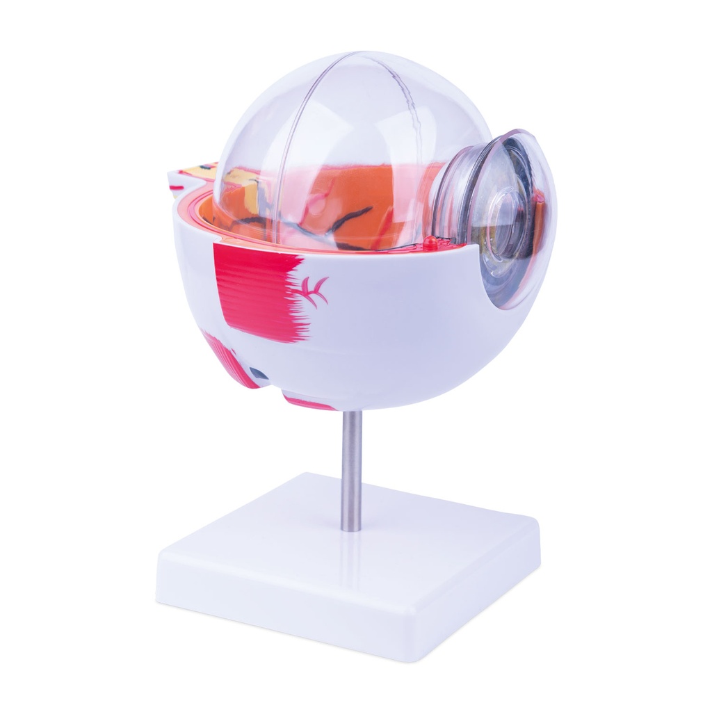 909040_Ersatz_Ansicht2