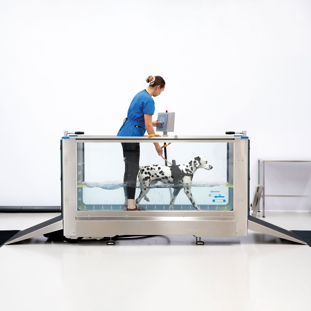 Bieżnia do hydroterapii dla psów