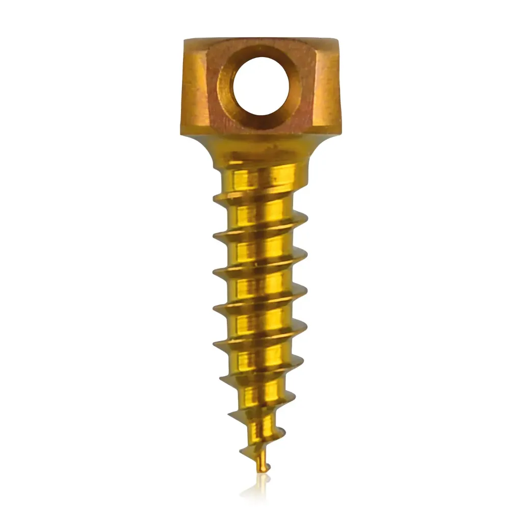 [198215] Śruba kotwiąca do kości Ø 2,0 x 7 mm, w kolorze złotym, z podwójnym oczkiem Ø 1,1 mm