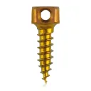 Śruba kotwiąca do kości Ø 2,0 x 7 mm, w kolorze złotym, z podwójnym oczkiem Ø 1,1 mm
