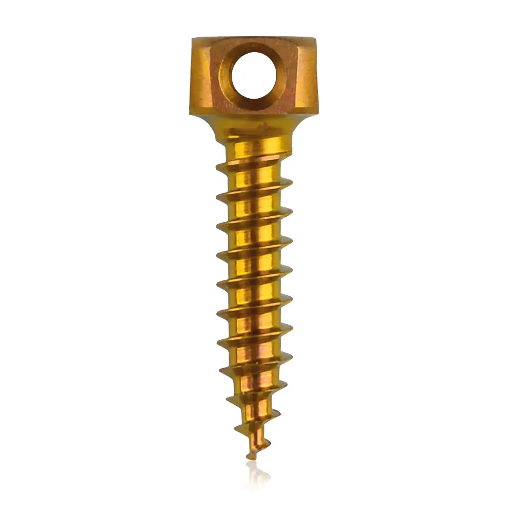 [198216] Śruba kotwiąca do kości Ø 2,0 x 9 mm, w kolorze złotym, z podwójnym oczkiem Ø 1,1 mm