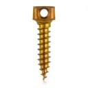 Śruba kotwiąca do kości Ø 2,0 x 9 mm, w kolorze złotym, z podwójnym oczkiem Ø 1,1 mm
