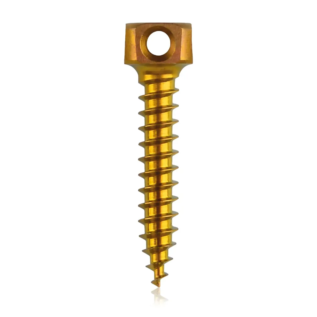 [198217] Śruba kotwiąca do kości Ø 2,0 x 11 mm, w kolorze złotym, z podwójnym oczkiem Ø 1,1 mm