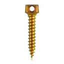 Śruba kotwiąca do kości Ø 2,0 x 11 mm, w kolorze złotym, z podwójnym oczkiem Ø 1,1 mm