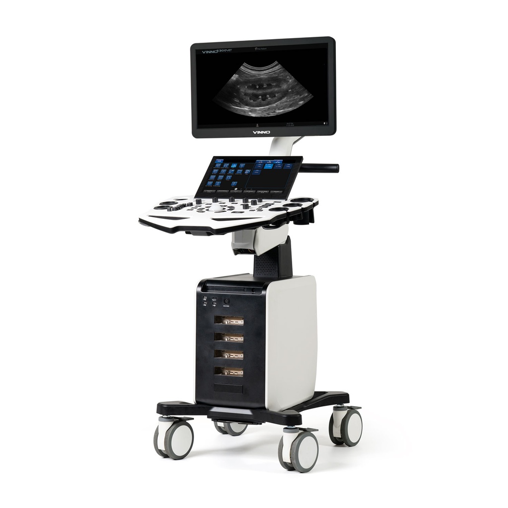 VINNO S300 med 2 Prober