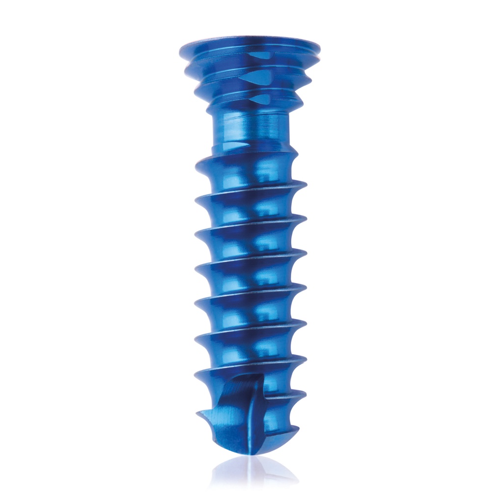 [185592] Tytanowa śruba blokująca Ø4.0x 14mm wielokierunkowa, srebrna, torx 10,samowiercące, samogwintujące