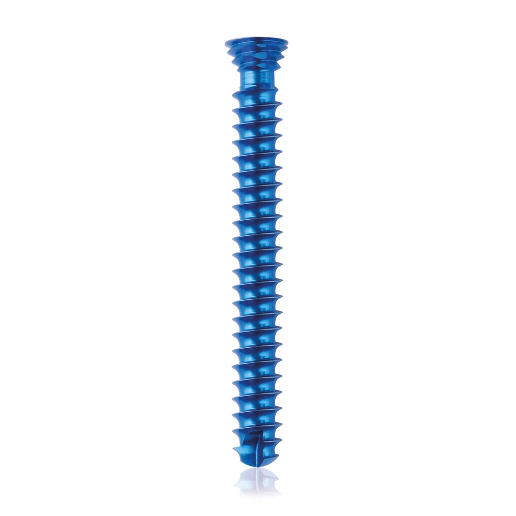 [185463] Tytanowa śruba blokująca Ø4,0x 32mm,wielokierunkowa, srebrna Torx 10 samowiercące, samogwintujące