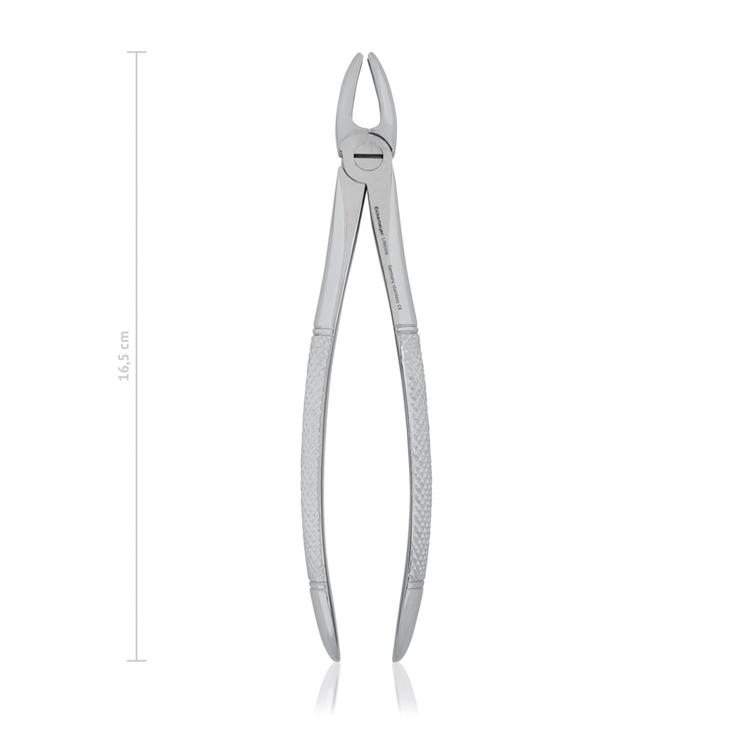 [176017] Kleszcze do zebow, Fig. 1, 16,5 cm