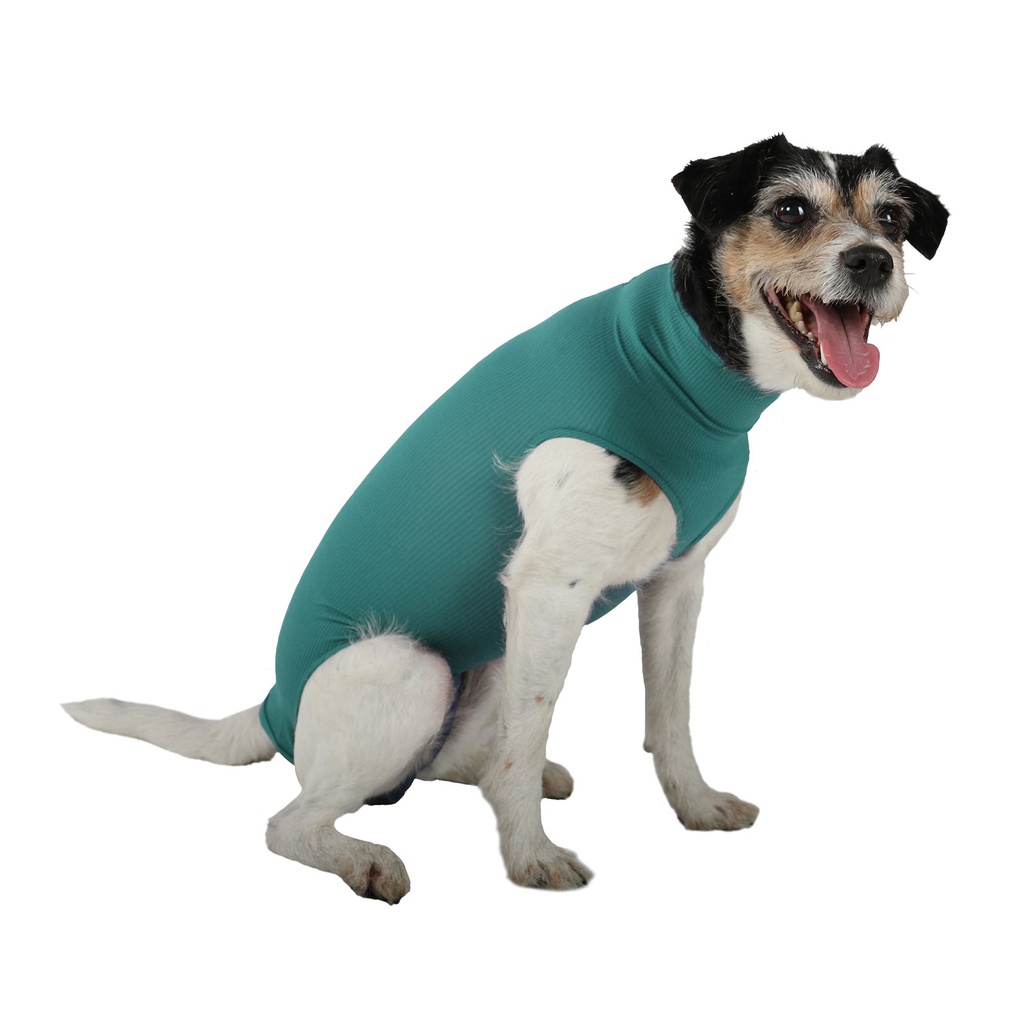 [VMC10024] VetMedCare kutyaruha, basic, L méret, kanoknak