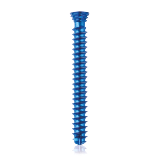 [185463] Tytanowa śruba blokująca Ø4,0x 32mm,wielokierunkowa, srebrna Torx 10 samowiercące, samogwintujące
